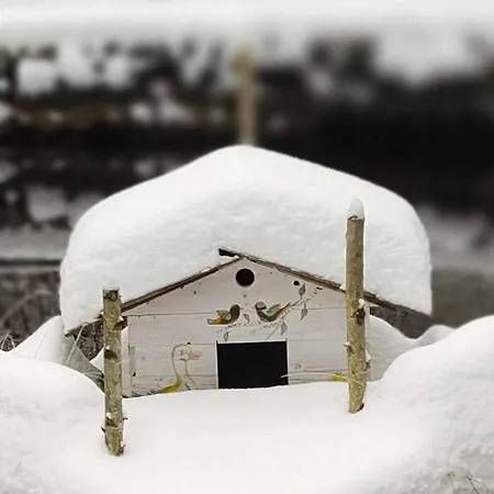 Daire Phoenix Štôla